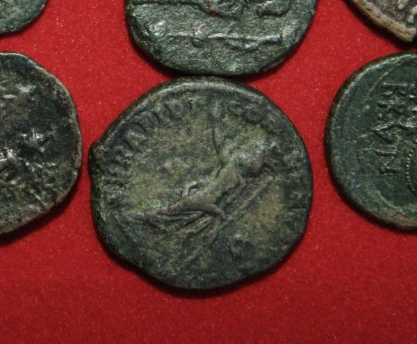 Help-ID-Commodus-Reverse